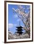 Pagoda of Ninnaji Temple and Cherry Blossoms-null-Framed Photographic Print