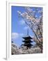 Pagoda of Ninnaji Temple and Cherry Blossoms-null-Framed Photographic Print