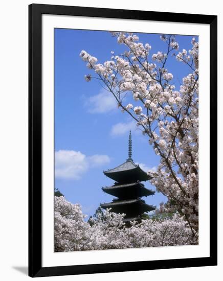 Pagoda of Ninnaji Temple and Cherry Blossoms-null-Framed Photographic Print