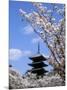 Pagoda of Ninnaji Temple and Cherry Blossoms-null-Mounted Photographic Print