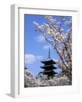 Pagoda of Ninnaji Temple and Cherry Blossoms-null-Framed Photographic Print