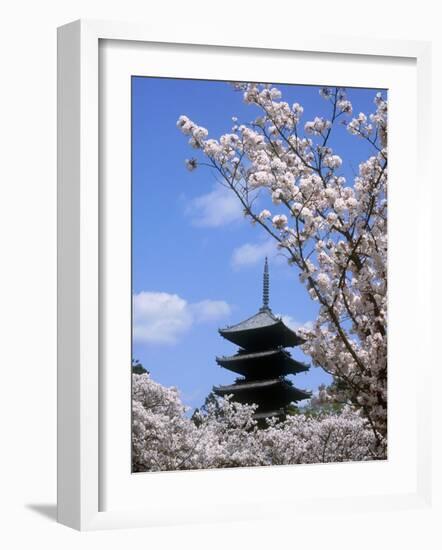 Pagoda of Ninnaji Temple and Cherry Blossoms-null-Framed Photographic Print