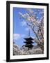 Pagoda of Ninnaji Temple and Cherry Blossoms-null-Framed Photographic Print