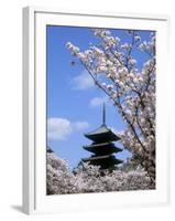 Pagoda of Ninnaji Temple and Cherry Blossoms-null-Framed Photographic Print