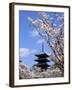 Pagoda of Ninnaji Temple and Cherry Blossoms-null-Framed Photographic Print