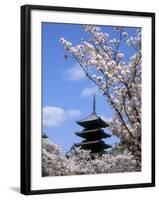 Pagoda of Ninnaji Temple and Cherry Blossoms-null-Framed Photographic Print