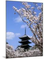 Pagoda of Ninnaji Temple and Cherry Blossoms-null-Mounted Photographic Print