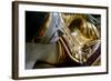 Pagoda of Shwedagon, Dated Between 6th and 10th Centuries, Yangon (Rangoon), Myanmar (Burma), Asia-Nathalie Cuvelier-Framed Photographic Print