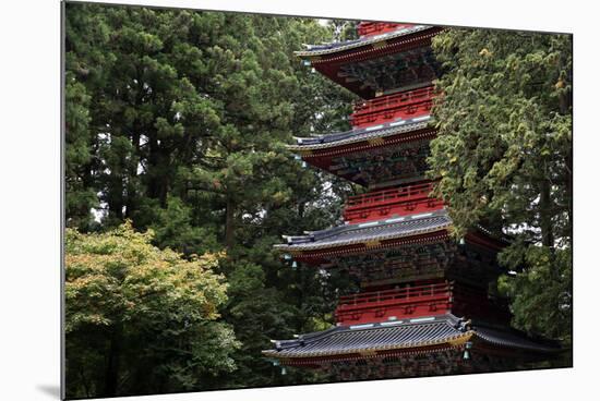 Pagoda outside the Tokugawa Mausoleum, Nikko, UNESCO World Heritage Site, Honshu, Japan, Asia-David Pickford-Mounted Photographic Print