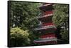 Pagoda outside the Tokugawa Mausoleum, Nikko, UNESCO World Heritage Site, Honshu, Japan, Asia-David Pickford-Framed Stretched Canvas