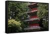 Pagoda outside the Tokugawa Mausoleum, Nikko, UNESCO World Heritage Site, Honshu, Japan, Asia-David Pickford-Framed Stretched Canvas