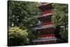 Pagoda outside the Tokugawa Mausoleum, Nikko, UNESCO World Heritage Site, Honshu, Japan, Asia-David Pickford-Stretched Canvas