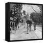 Pagoda Road to the Shwedagon Pagoda, Rangoon, Burma, 1908-null-Framed Stretched Canvas