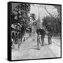 Pagoda Road to the Shwedagon Pagoda, Rangoon, Burma, 1908-null-Framed Stretched Canvas