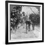 Pagoda Road to the Shwedagon Pagoda, Rangoon, Burma, 1908-null-Framed Photographic Print