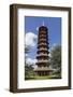 Pagoda, Royal Botanic Gardens, Kew-Rolf Richardson-Framed Photographic Print