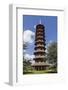 Pagoda, Royal Botanic Gardens, Kew-Rolf Richardson-Framed Photographic Print