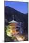 Pagoda, Shinto Shrine, Nachi No Taki Waterfall, Wakayama Prefecture, Honshu, Japan, Asia-Christian Kober-Mounted Photographic Print