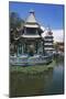 Pagoda-null-Mounted Giclee Print