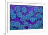 Pagota Coral-harmonia101-Framed Photographic Print