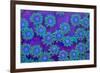 Pagota Coral-harmonia101-Framed Photographic Print