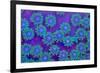 Pagota Coral-harmonia101-Framed Photographic Print