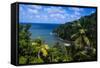 Pagua Bay in Dominica, West Indies, Caribbean, Central America-Michael Runkel-Framed Stretched Canvas