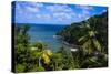 Pagua Bay in Dominica, West Indies, Caribbean, Central America-Michael Runkel-Stretched Canvas