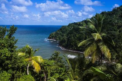https://imgc.allpostersimages.com/img/posters/pagua-bay-in-dominica-west-indies-caribbean-central-america_u-L-PNPO7G0.jpg?artPerspective=n