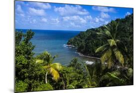 Pagua Bay in Dominica, West Indies, Caribbean, Central America-Michael Runkel-Mounted Photographic Print