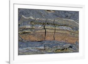 Pahoehoe lava, close-up of ribbon-like shapes, Sullivan Bay, Santiago-Krystyna Szulecka-Framed Photographic Print