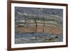 Pahoehoe lava, close-up of ribbon-like shapes, Sullivan Bay, Santiago-Krystyna Szulecka-Framed Photographic Print