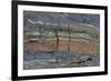 Pahoehoe lava, close-up of ribbon-like shapes, Sullivan Bay, Santiago-Krystyna Szulecka-Framed Photographic Print