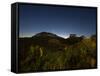 Pai Inacio in Chapada Diamantinas National Park at Night-Alex Saberi-Framed Stretched Canvas