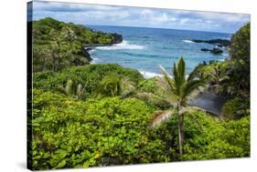 Pailoa Beach at the Waianapanapa State Park Along the Road to Hana-Michael Runkel-Stretched Canvas