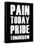 Pain Today Pride Tomorrow-null-Framed Stretched Canvas