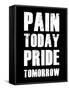 Pain Today Pride Tomorrow-null-Framed Stretched Canvas