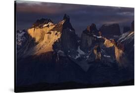 Paine Massif at sunset, Torres del Paine National Park, Chile, Patagonia-Adam Jones-Stretched Canvas