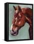 Paint by Number Horse I-Jennifer Parker-Framed Stretched Canvas