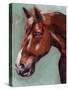 Paint by Number Horse I-Jennifer Parker-Stretched Canvas