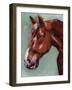 Paint by Number Horse I-Jennifer Parker-Framed Art Print
