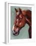 Paint by Number Horse I-Jennifer Parker-Framed Art Print