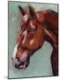 Paint by Number Horse I-Jennifer Parker-Mounted Art Print