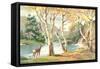 Paint by Numbers, Autumn Scene-null-Framed Stretched Canvas