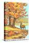 Paint by Numbers, Autumn Scene-Found Image Press-Stretched Canvas
