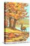 Paint by Numbers, Autumn Scene-Found Image Holdings Inc-Stretched Canvas