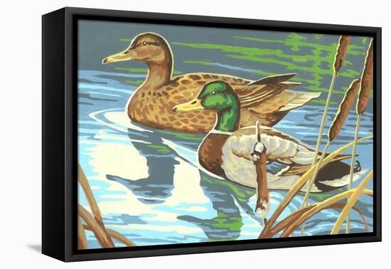 Paint by Numbers, Ducks Number One-null-Framed Stretched Canvas