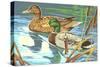 Paint by Numbers, Ducks Number One-null-Stretched Canvas