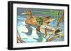 Paint by Numbers, Ducks Number One-null-Framed Art Print