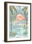 Paint by Numbers, Flamingo-null-Framed Art Print